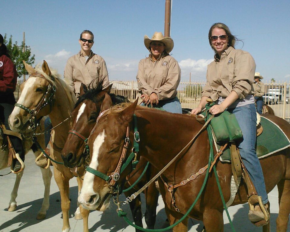 Horse Riding Lessons, Guided Trail Rides in Queen Creek, AZ Saddle Up