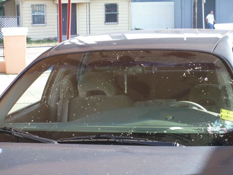 Windshield Repair in Reno, NV Blackout Windshield Repair