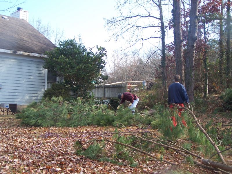 Tree Service Pineville  WTC Tree Service has been rated with 22 experience points based on Fixr's rating system.
