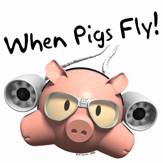 when-pigs-fly-aurally-dj-service.f2a8774