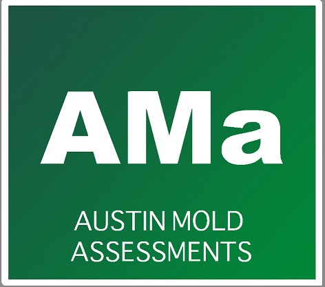 Mold Inspections and Testing in Austin, Texas