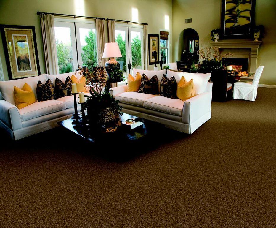 Carpet & Hardwood Products