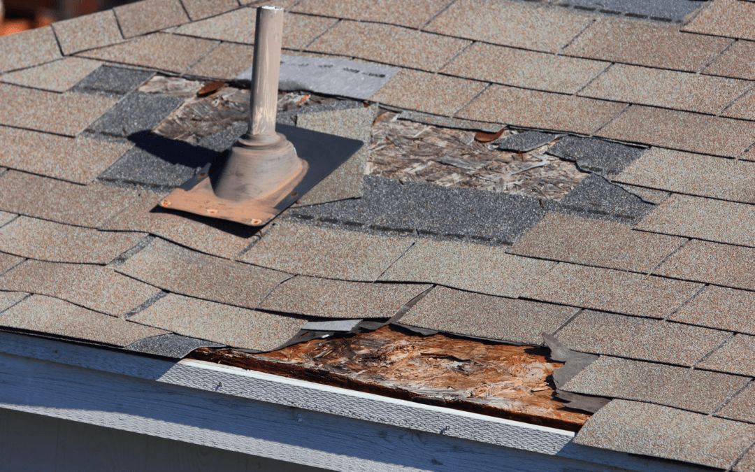 Roofing Companies In Columbia Sc