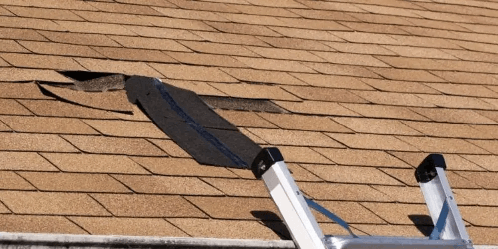 Common Complaints And Comments With IKO Shingles   Mceu 62489560021655196887337 26e7 