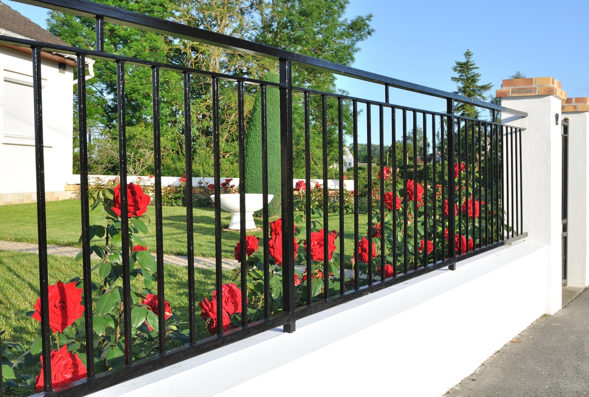 Elegant black metal fence in front of red roses