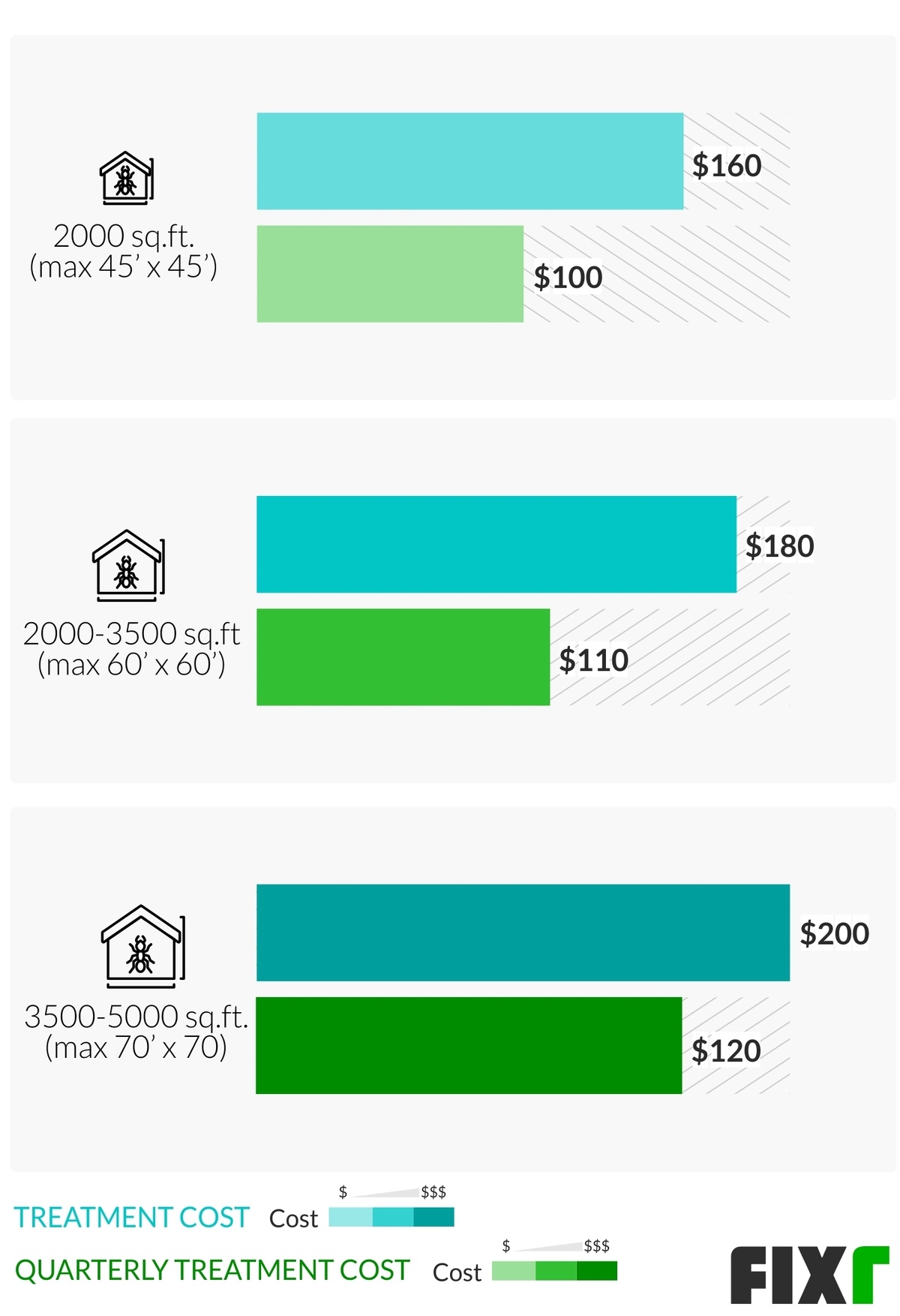 Carpenter Ant Extermination Cost