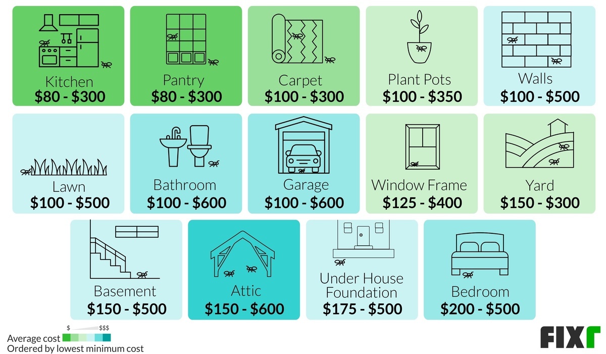 2020 Ant Extermination Cost Cost to Treat Carpenter Ants
