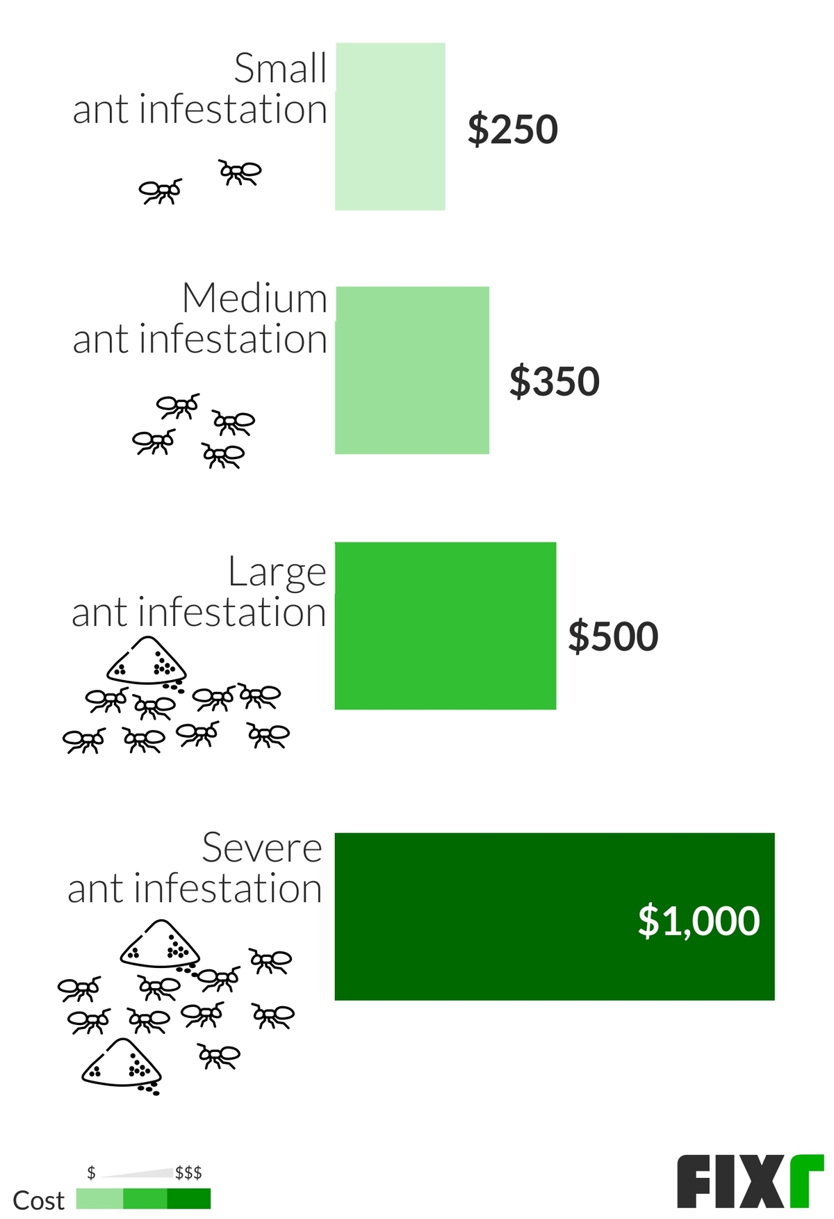 2020 Ant Extermination Cost Cost to Treat Carpenter Ants