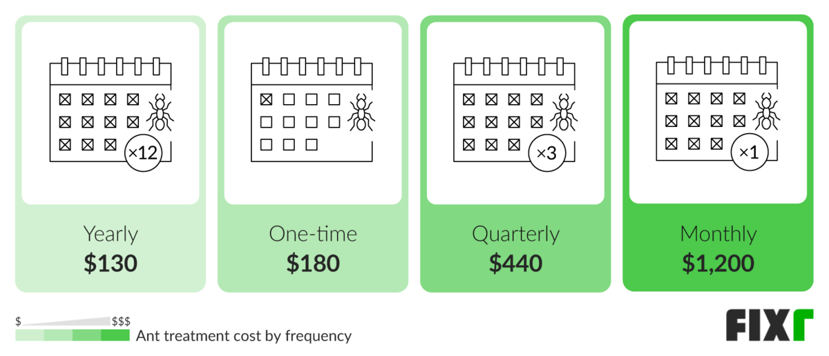 2021 Ant Exterminator Cost Ant Pest Control Cost