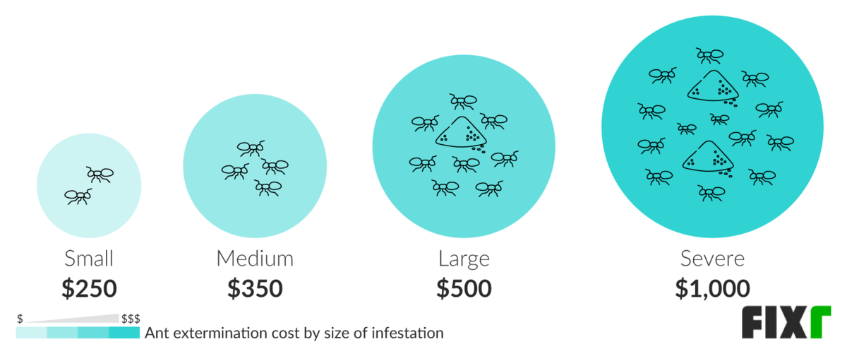 2021 Ant Exterminator Cost Ant Pest Control Cost