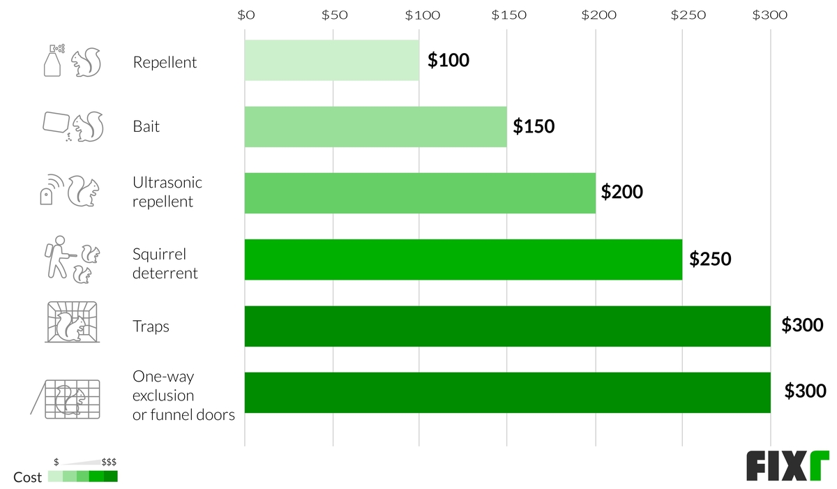 Squirrels in Attic Removal Cost Pest Control Squirrels in the Attic