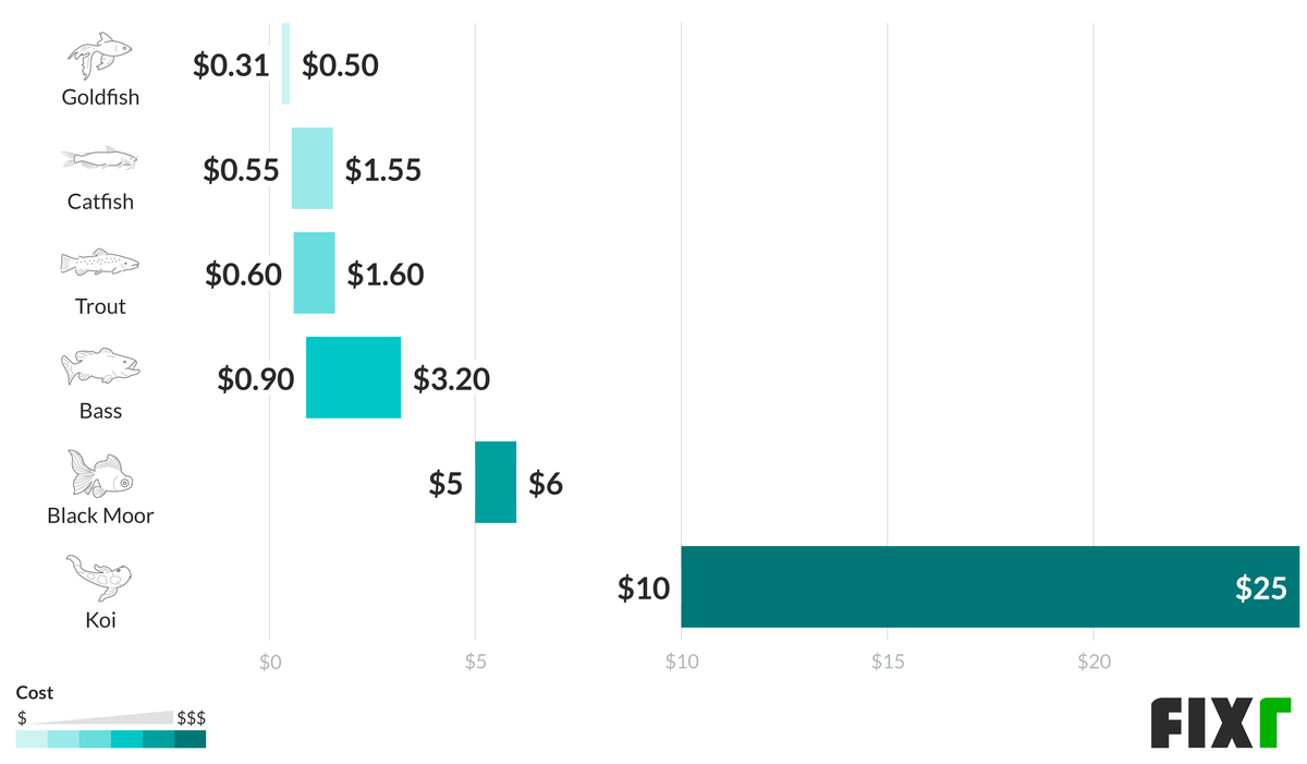 Pond fish prices