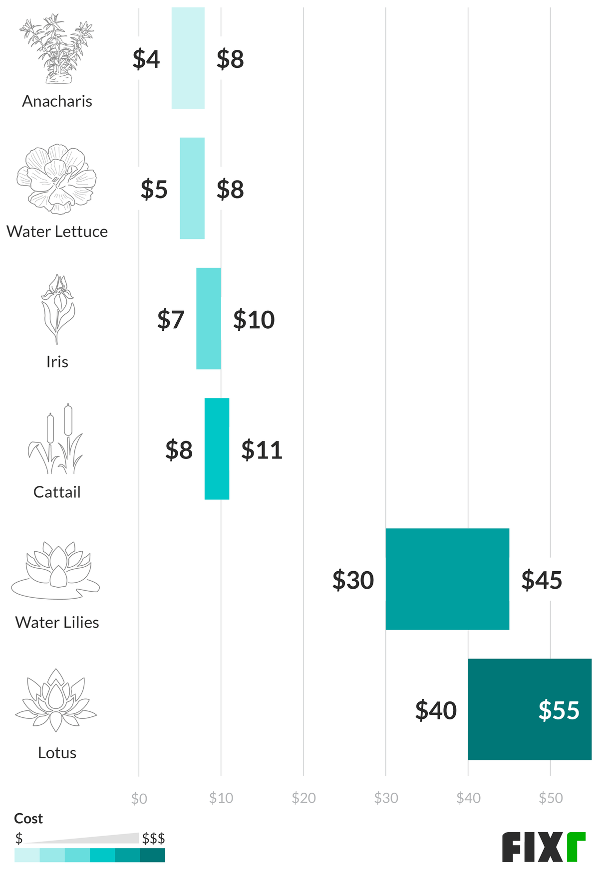 Pond plant prices