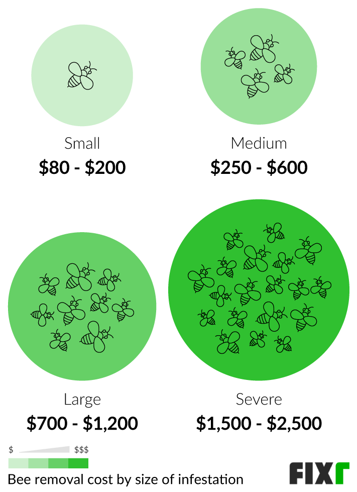 Cost to Remove a Small, Medium, Large, or Severe Bee Infestation
