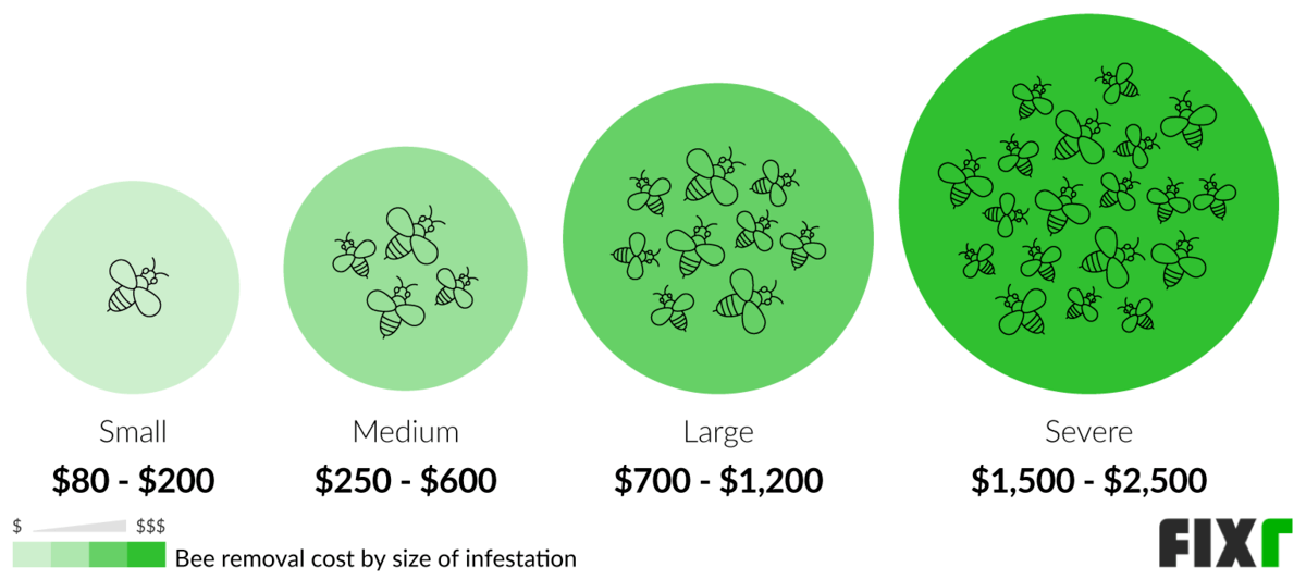 Cost to Remove a Small, Medium, Large, or Severe Bee Infestation
