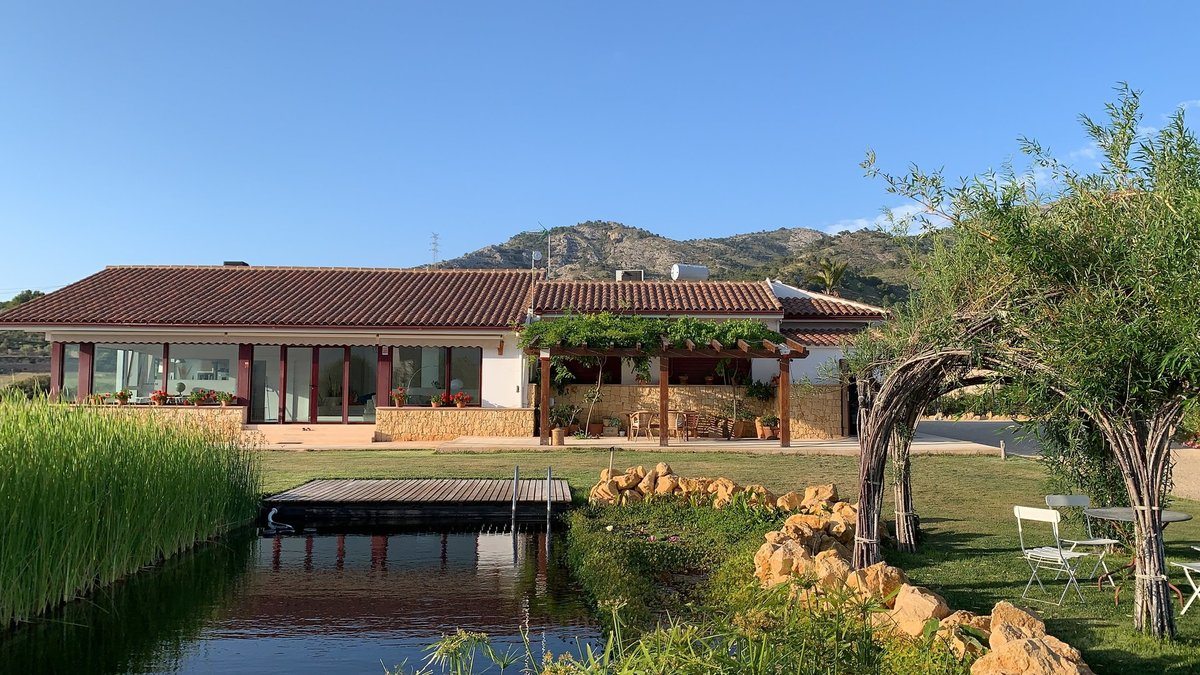 Natural pool in a house yard