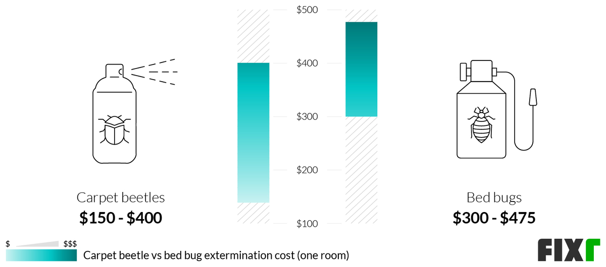 2022 Carpet Beetle Extermination Cost Cost of Exterminator for Carpet Beetles