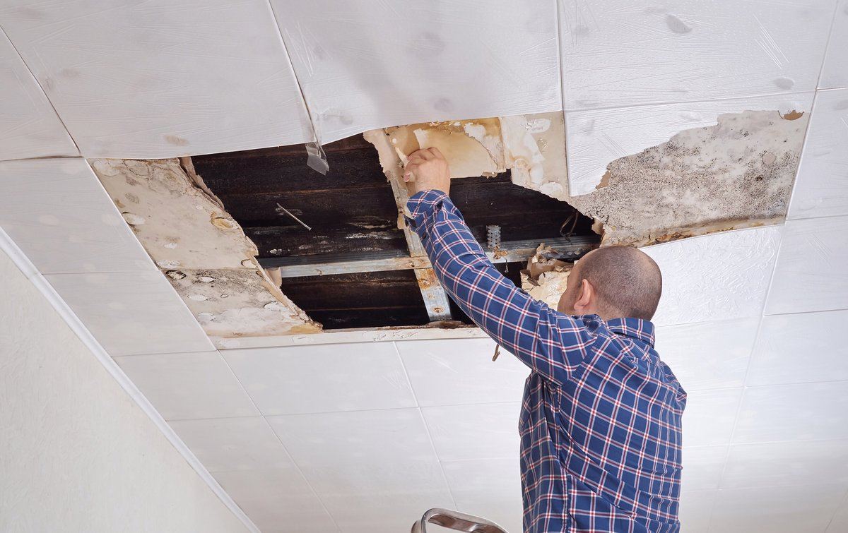 ceiling repair services