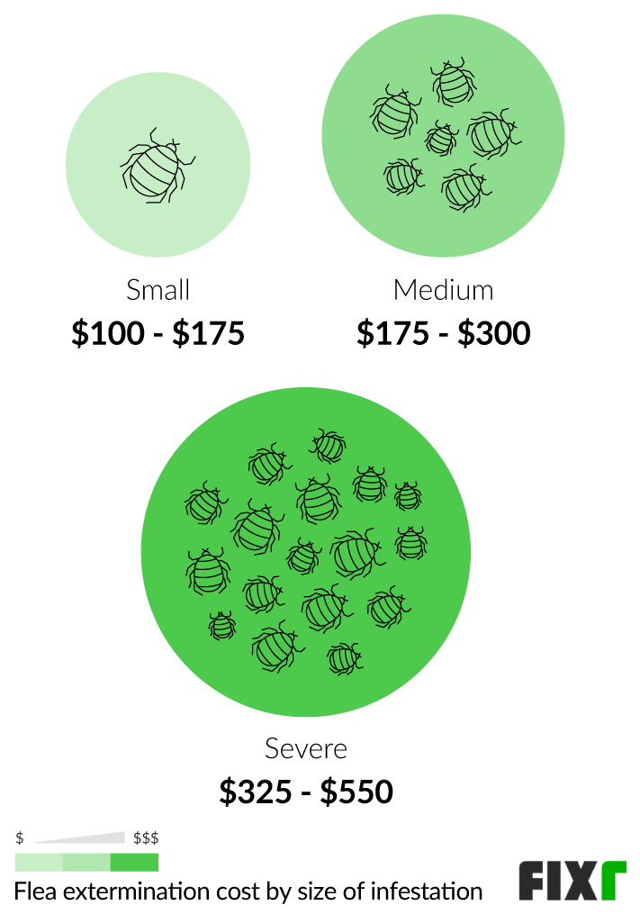 2021 Cost To Exterminate Fleas Flea Pest Control Cost
