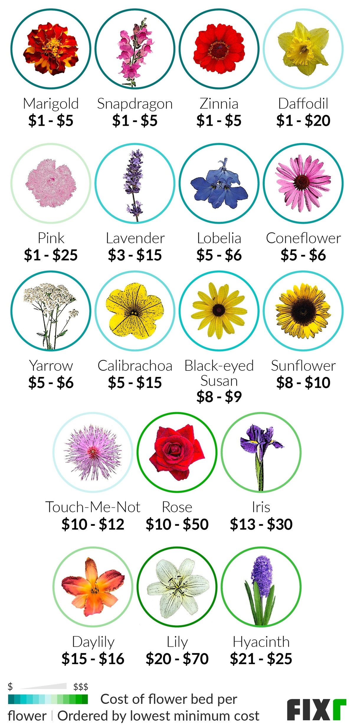 Cost per Flower for Flower Beds: Marigold, Snapdragon, Zinnia, Daffodil, Pink, Lavender, Lobelia...