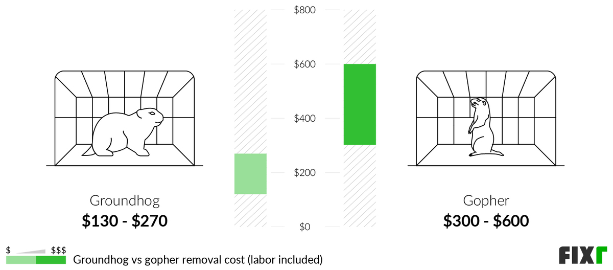 Gopher Removal Cost | Gopher Control Cost