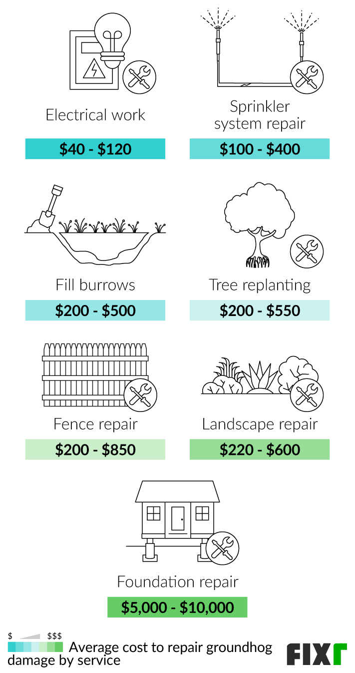 2022 Groundhog Removal Cost | Woodchuck Removal Cost