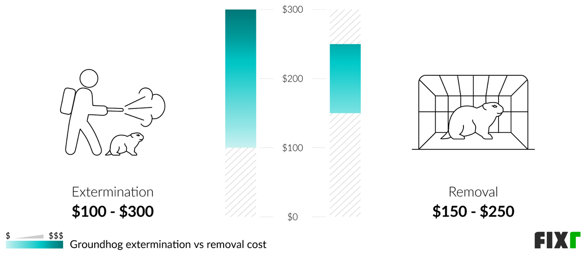 2022 Groundhog Removal Cost | Woodchuck Removal Cost