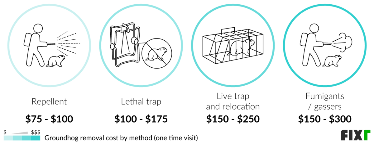 2022 Groundhog Removal Cost | Woodchuck Removal Cost