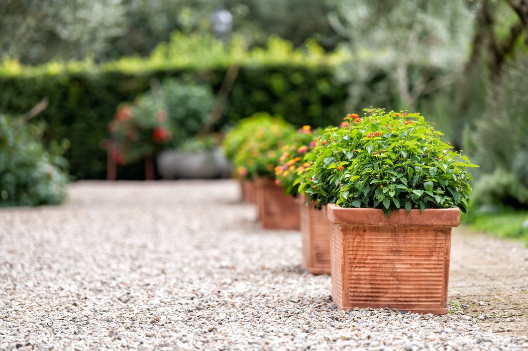 Tuscan Garden Plants in Pots