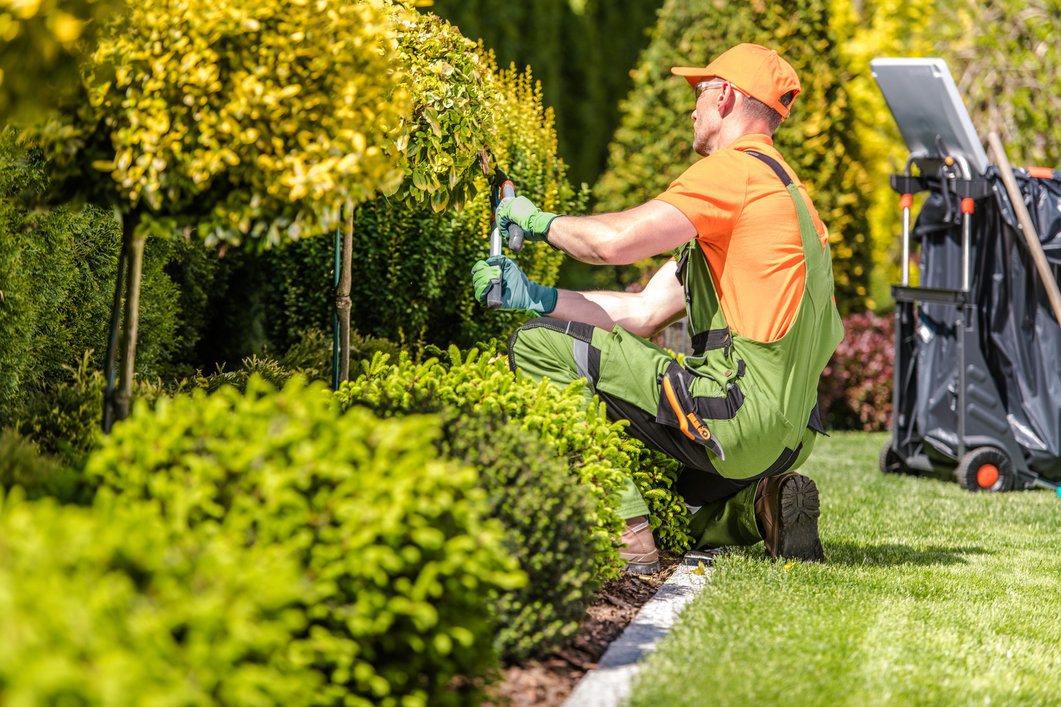 Landscapers in Denver