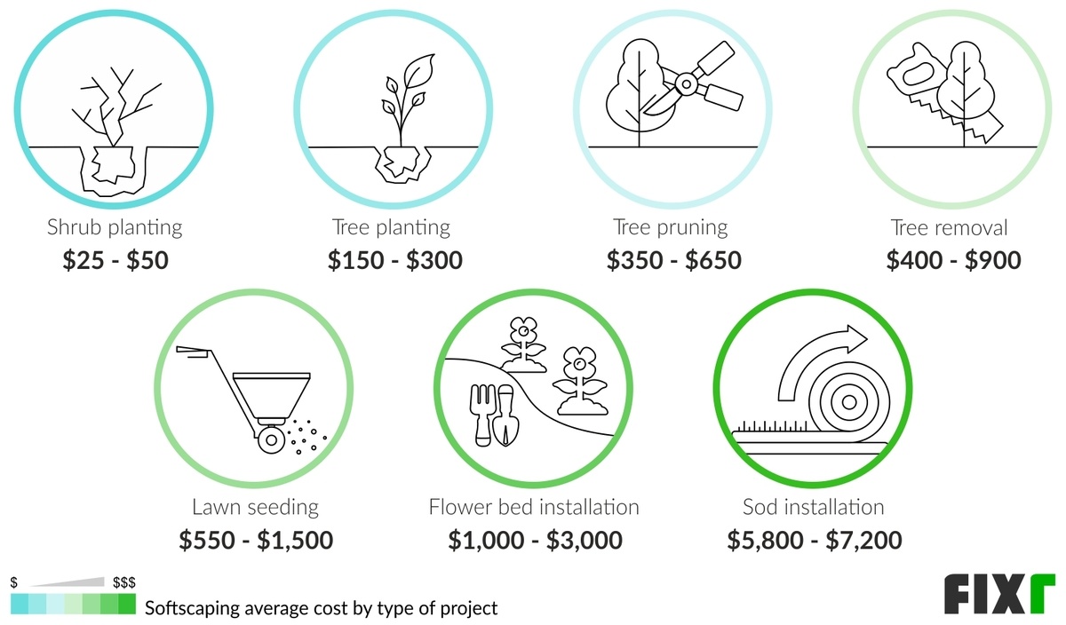 Softscaping Cost by Type of Project: Shrub Planting, Tree Planting, Tree Pruning, Tree Removal, Lawn Seeding...