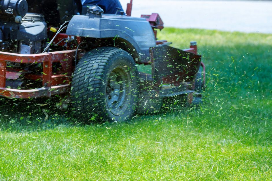 lawn maintenance cost