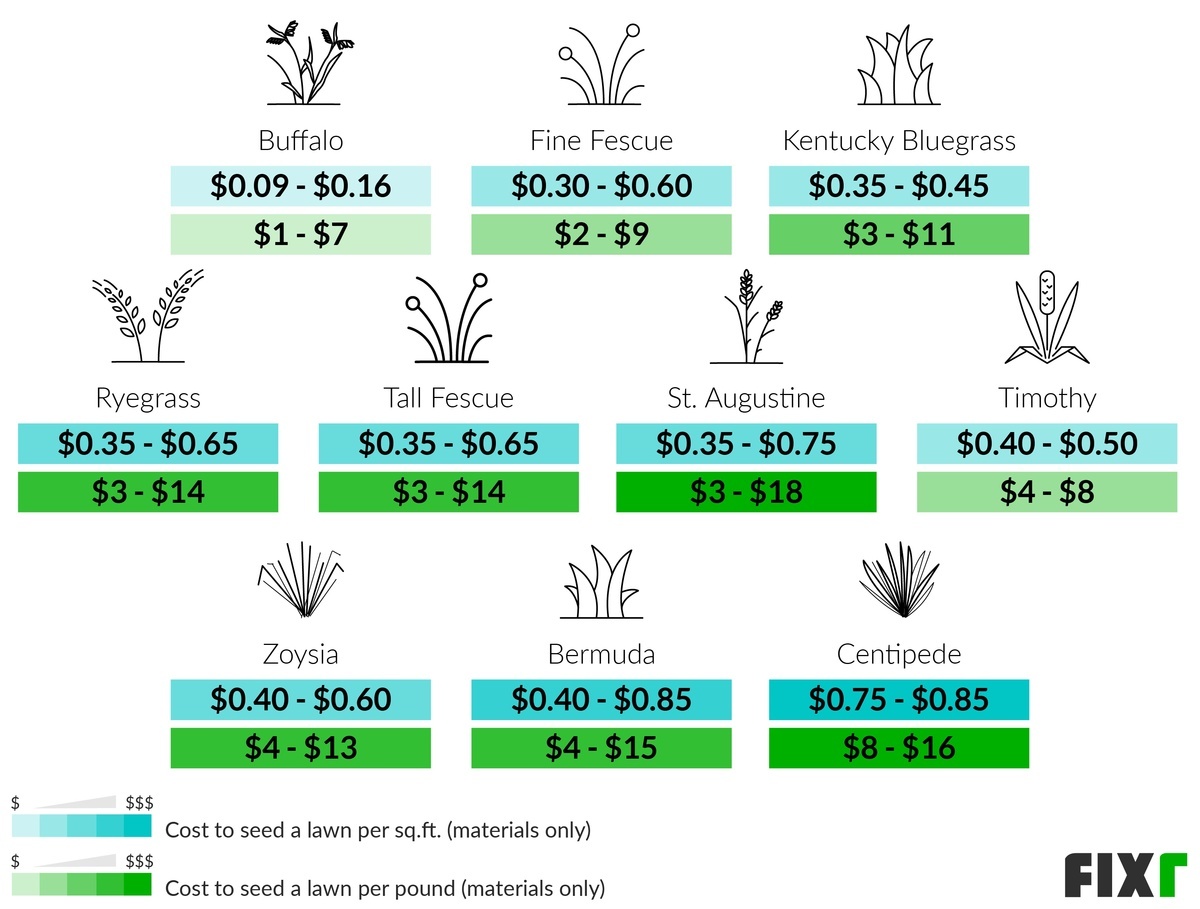 Grass Seed Size Comparison Chart