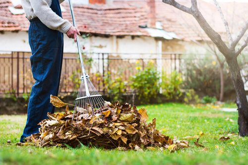 2022 Leaf Clean-up Cost | Leaf Removal Cost