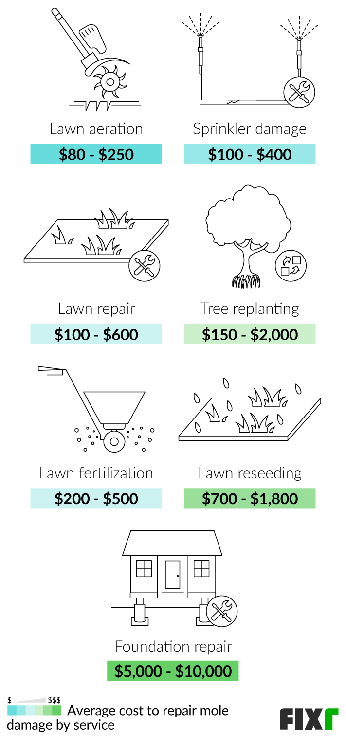 2022 Mole Extermination Cost Garden Mole Removal Cost 2022-mole-extermination-cost-garden-mole-removal-cost