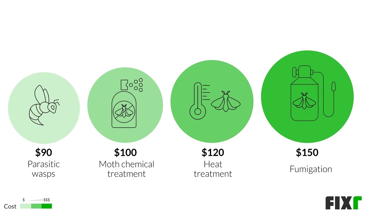 Moth Extermination Costs Moth Fumigation Cost
