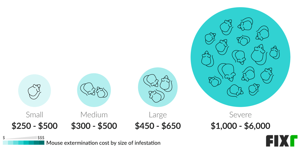 Cost to Exterminate a Small, Medium, Large, or Severe Mouse Infestation