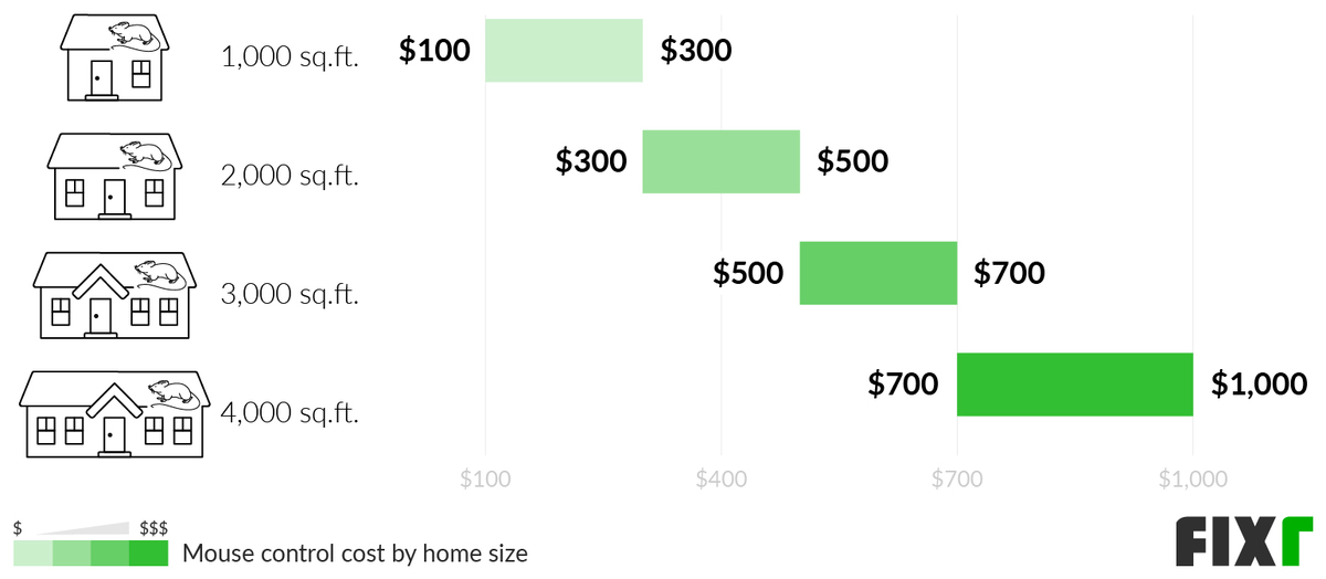 Cost to Get Rid of Mice in a 1,000, 2,000, 3,000, and 4,000 Sq.Ft. House