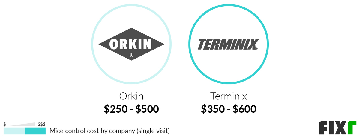 Cost of a Single Visit of Orkin and Terminix for Mice Control