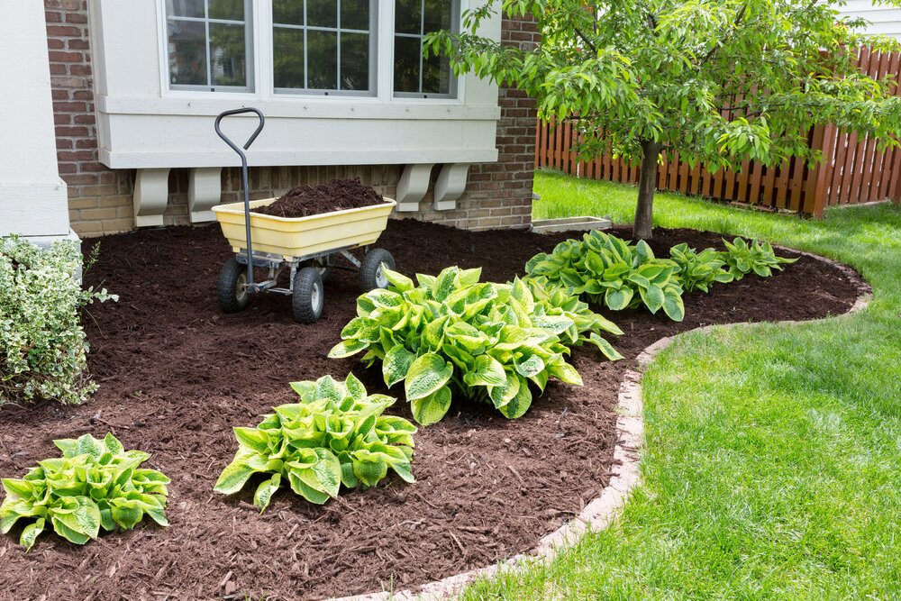 2021 Mulching Cost Average Of, How Much Does It Cost To Remove Landscaping