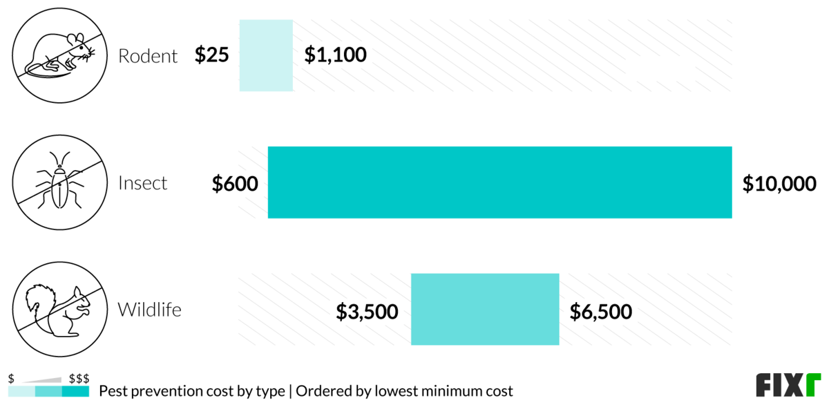 Preventive Pest Control Cost