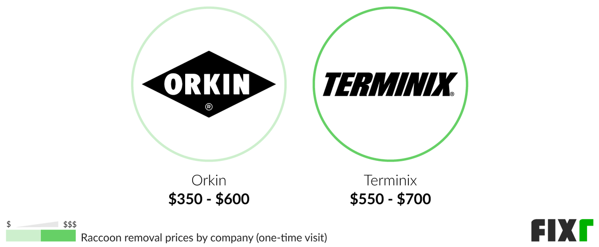 Who Is Cheaper Orkin Or Terminix