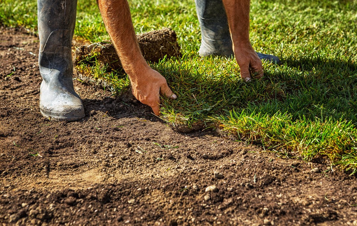 Professional unrolling sod