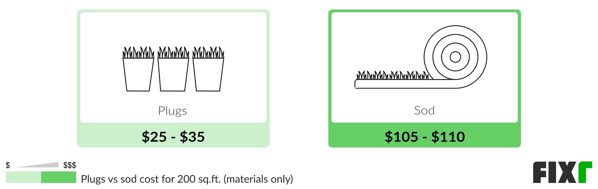 Comparison of the Cost of Plugs and Sod for 200 Sq.Ft.