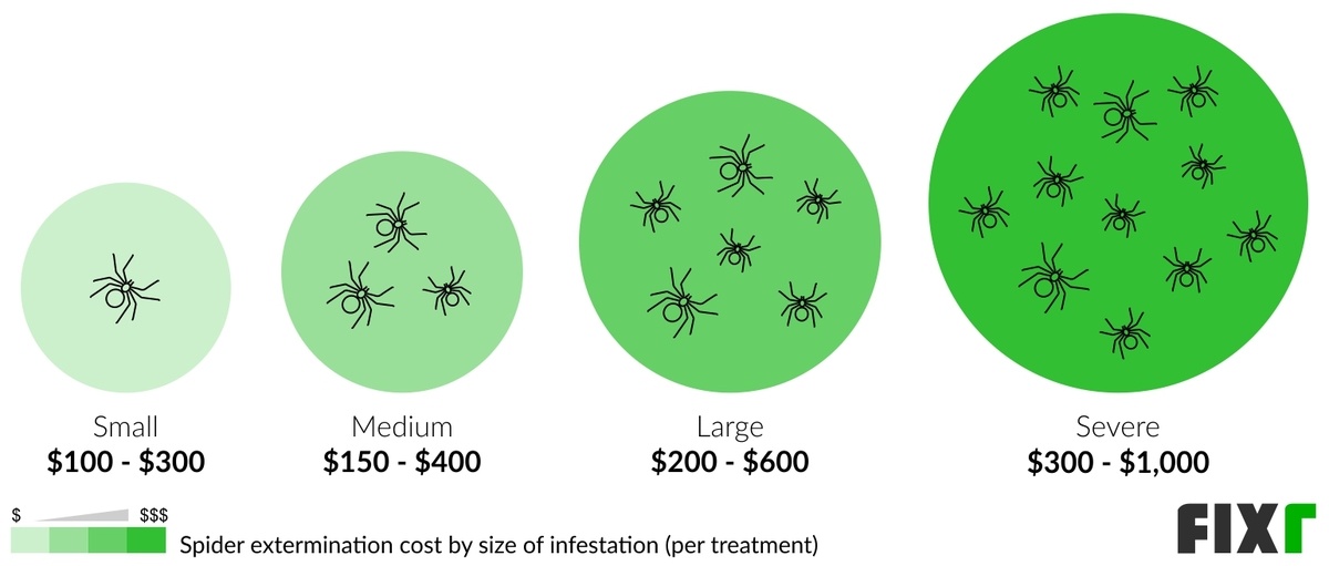 2022 Spider Exterminator Cost Spider Pest Control Cost
