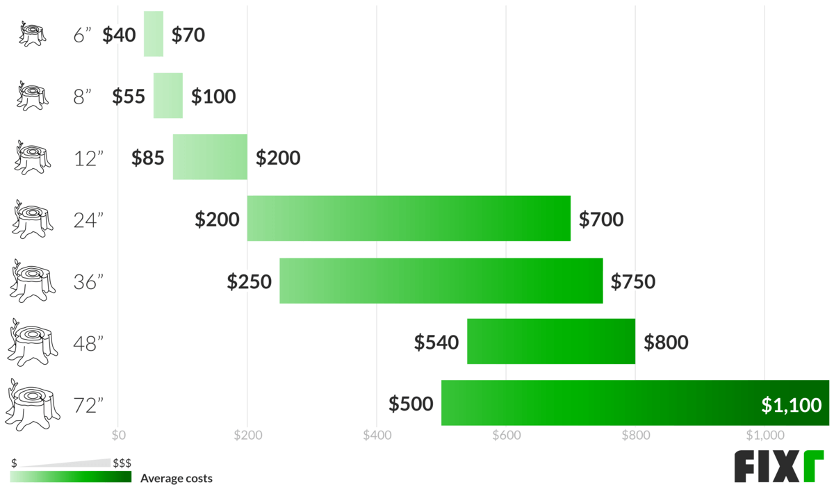 Stump Removal Cost Tree Root Removal Cost