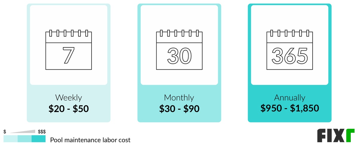 Labor Cost of Weekly, Monthly and Annual Pool Maintenance Service