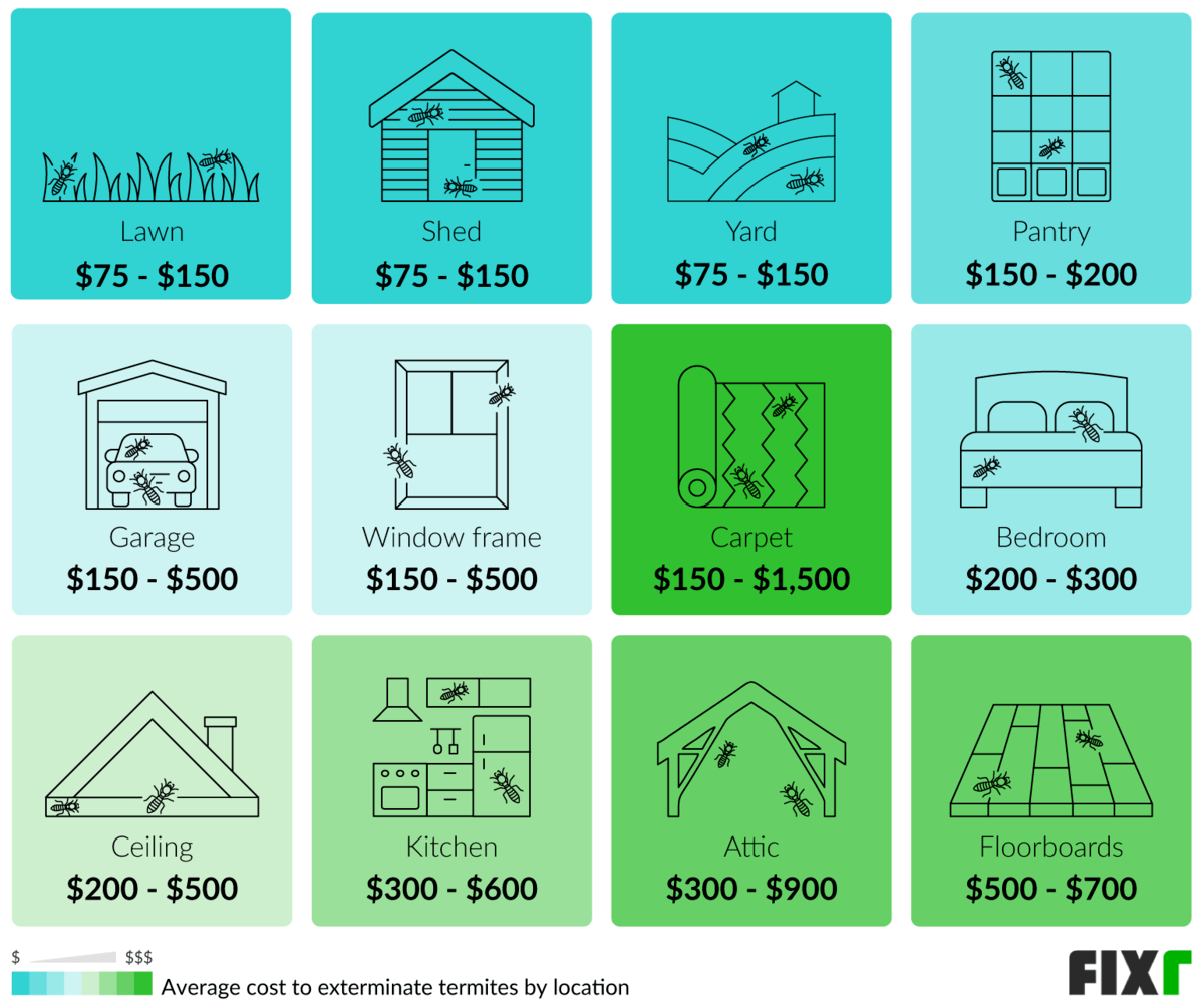 Cost to Exterminate Termites in Lawn, Shed, Yard, Pantry, Garage, Window Frame... 