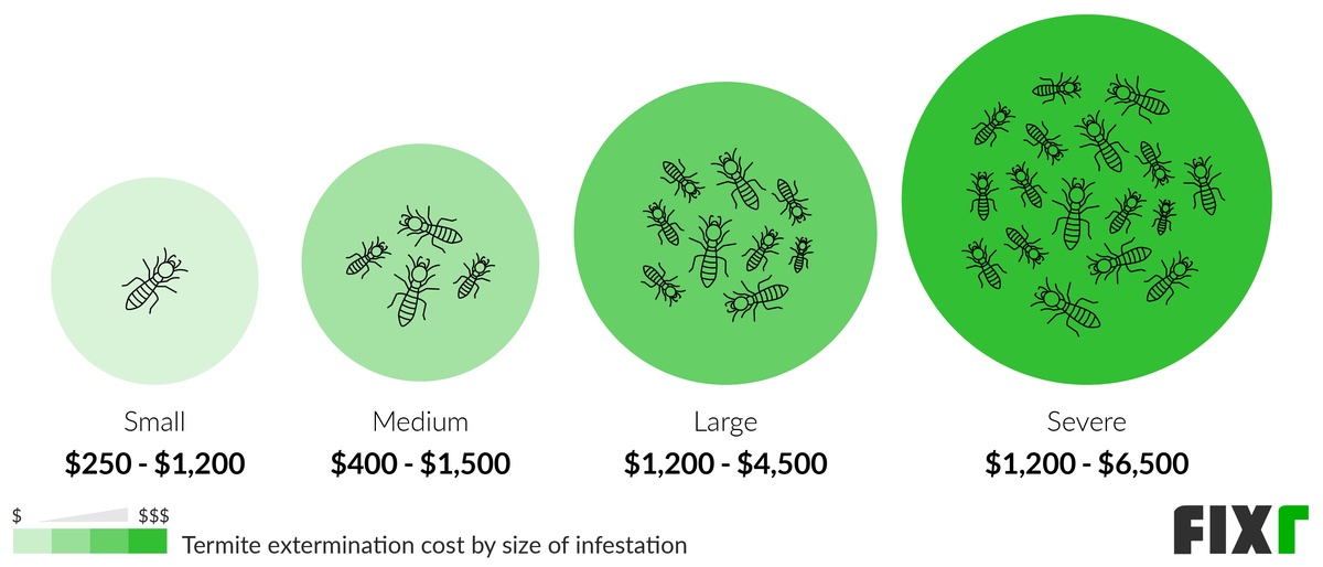 Cost to Exterminate a Small, Medium, Large, and Severe Termite Infestation