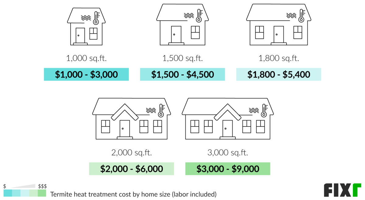 Termite Cost For House